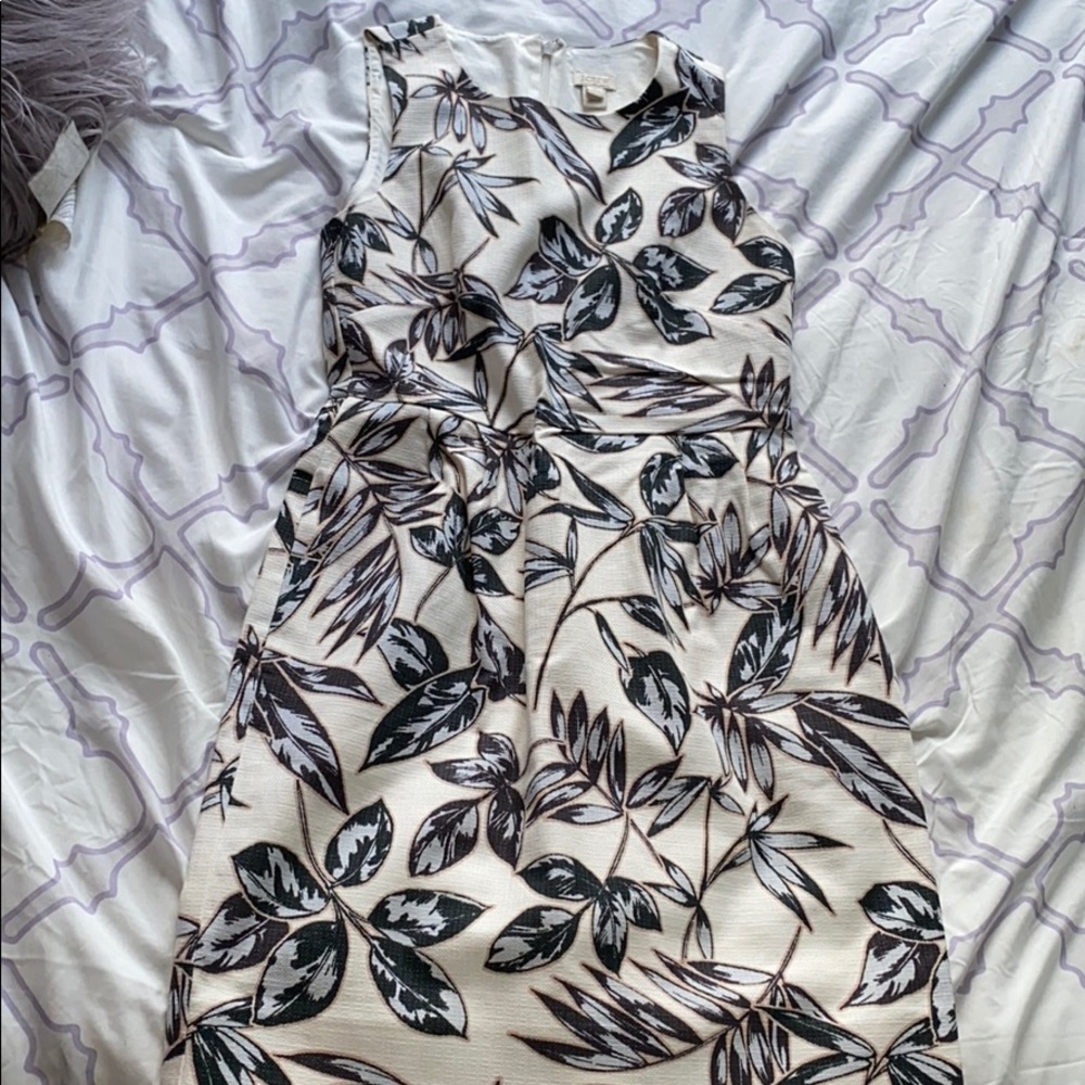 J. Crew Sleeveless Dress